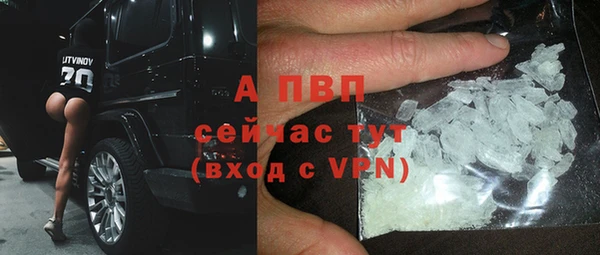 СК Пересвет