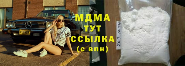 индика Вяземский