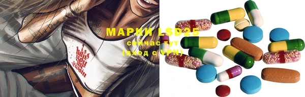 дурь Пестово
