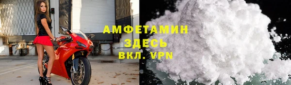 дурь Пестово