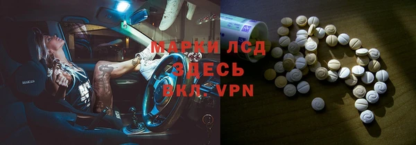 СК Пересвет