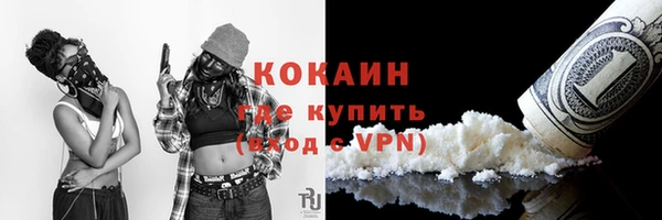 дурь Пестово