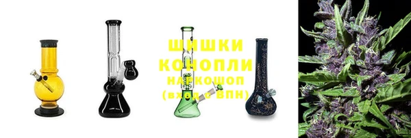дурь Пестово