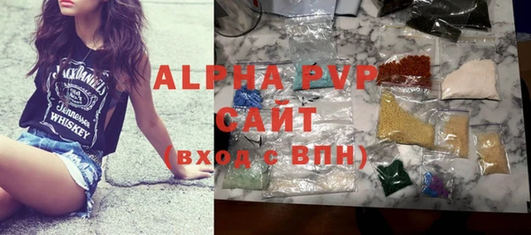 СК Пересвет
