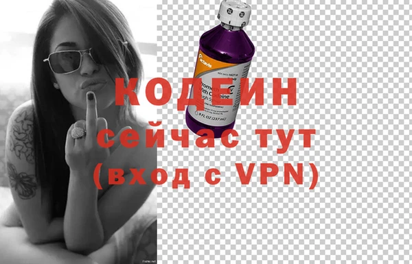дурь Пестово