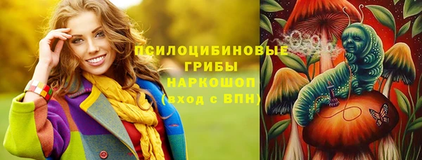 СК Пересвет