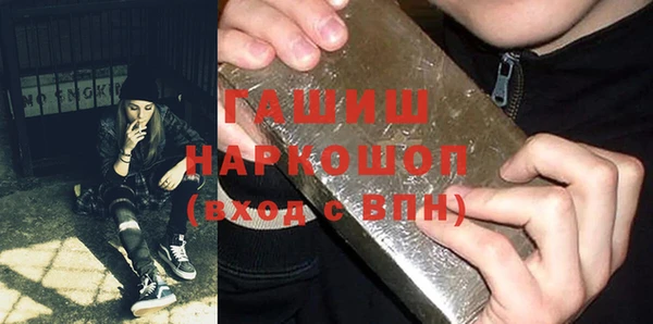 СК Пересвет