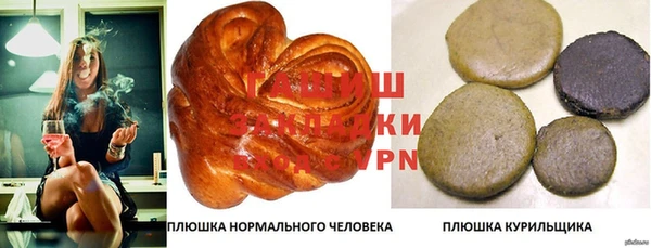 СК Пересвет