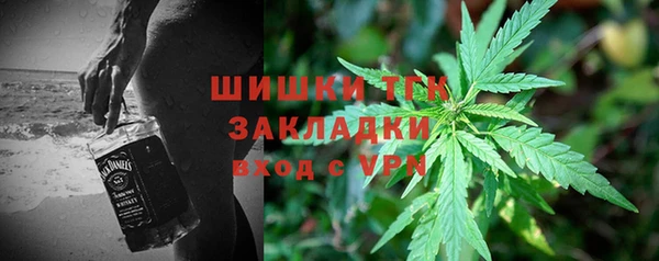 СК Пересвет
